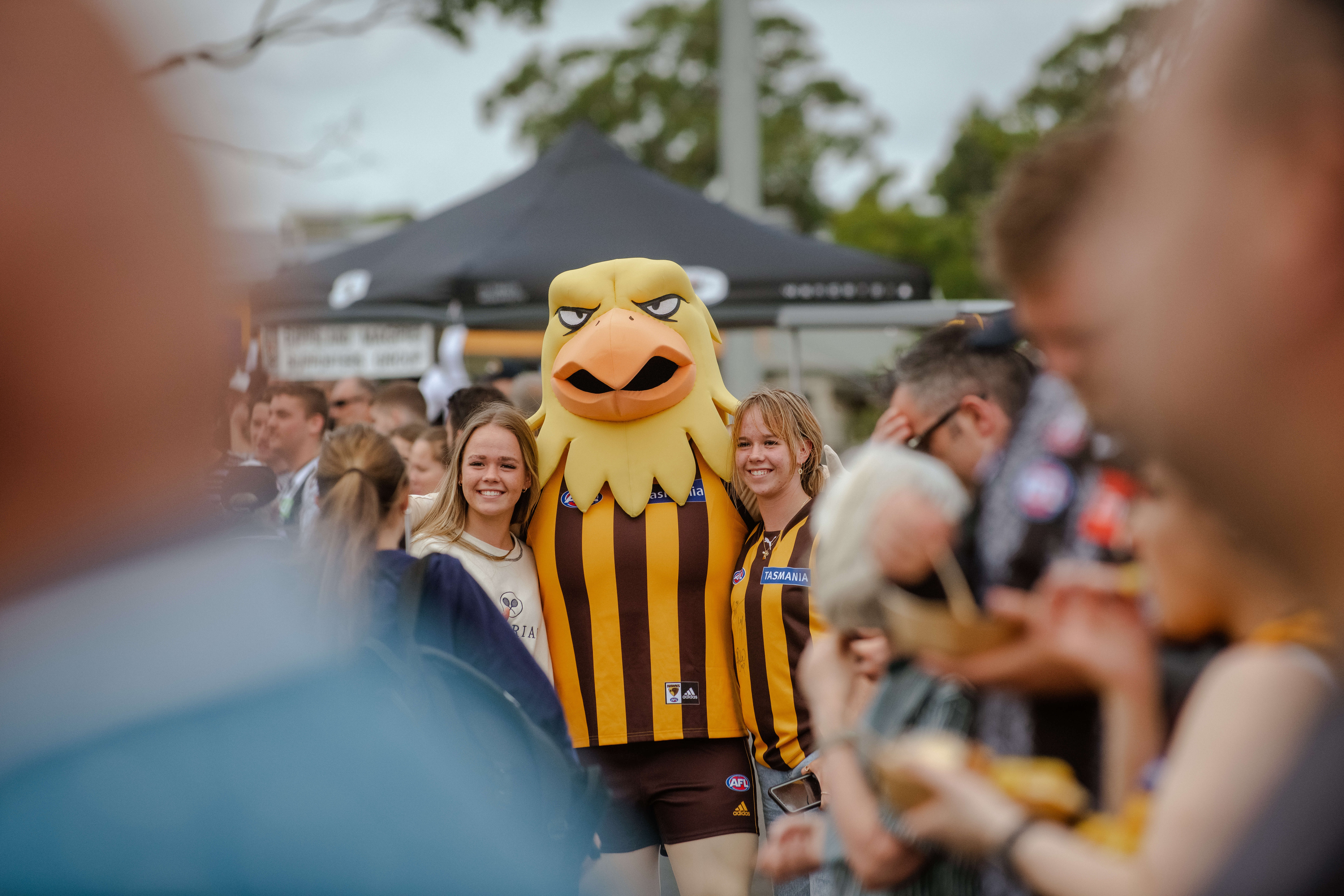Hawthorn Mascot with Fans
